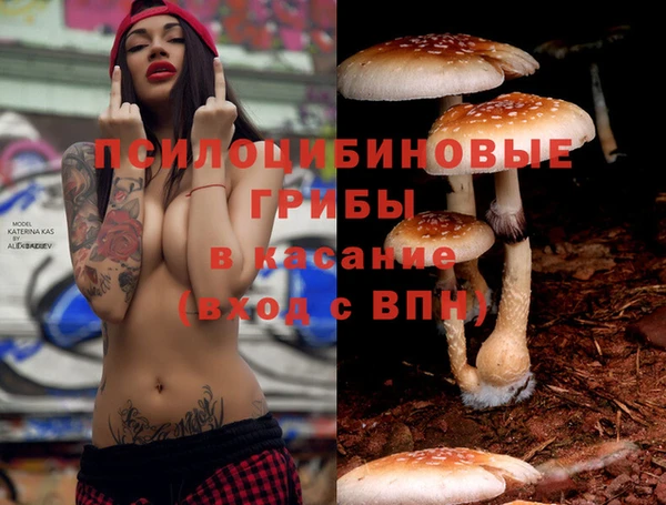 хмурый Елизово