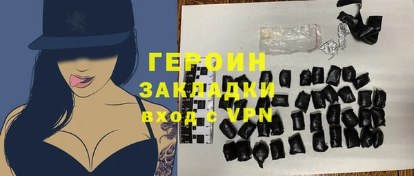 твердый Тайга