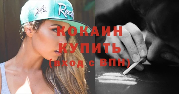 дживик Няндома