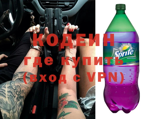 дживик Няндома