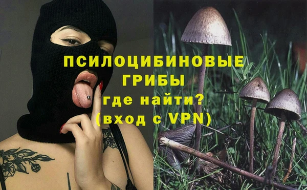 дурь Нязепетровск