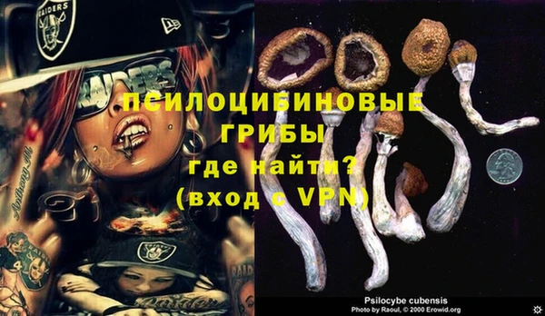 дурь Нязепетровск