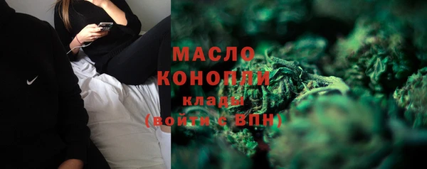 дживик Няндома
