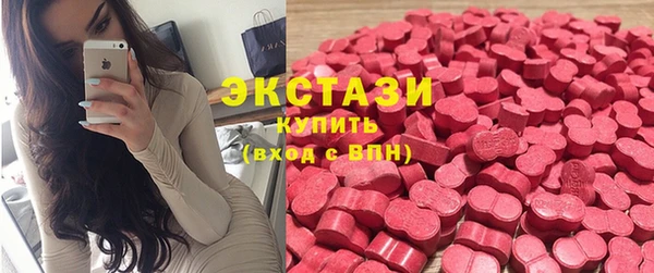дживик Няндома