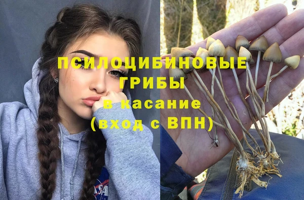 дурь Нязепетровск