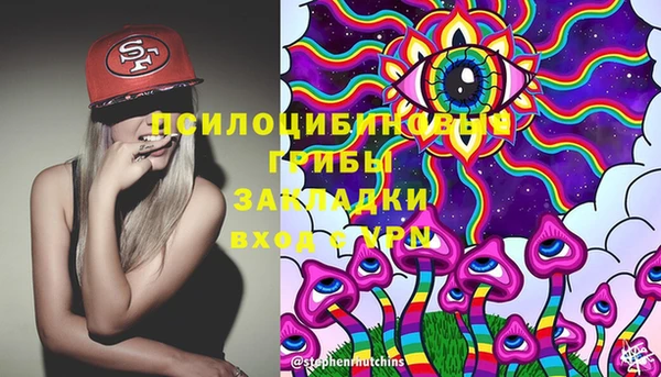 ПСИЛОЦИБИНОВЫЕ ГРИБЫ Остров