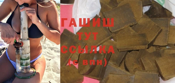 дживик Няндома