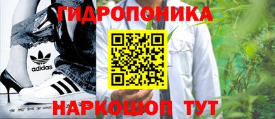 сатива Волжск