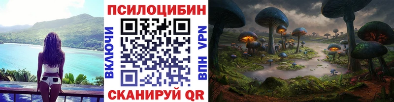 Псилоцибиновые грибы ЛСД  наркотики  Алексеевка 