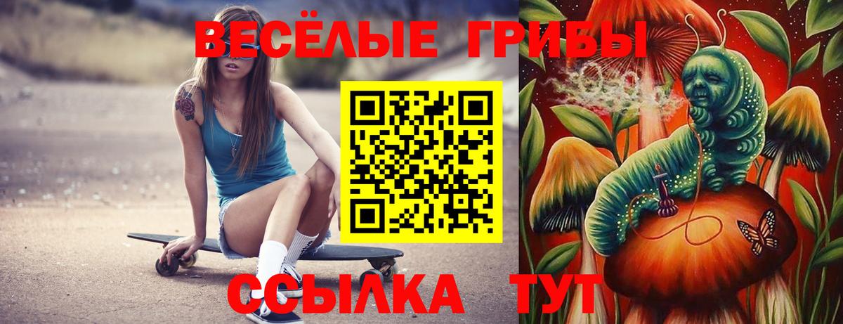 Псилоцибиновые грибы ЛСД Алексеевка