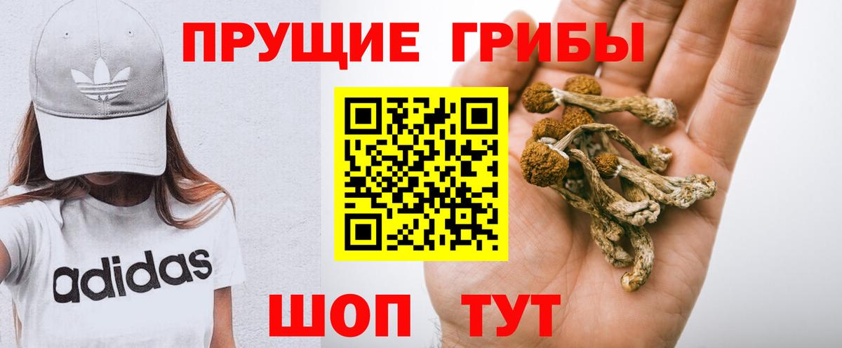 Алексеевка  Галлюциногенные грибы Cubensis  Вход с VPN  купить  цена  Псилоцибиновые грибы Cubensis 