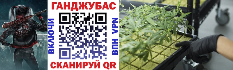Шишки марихуана Amnesia Алексеевка